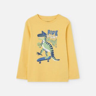 Camiseta Estampada Niño Losan