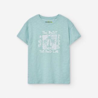 Camiseta Aguamarina Niño Losan
