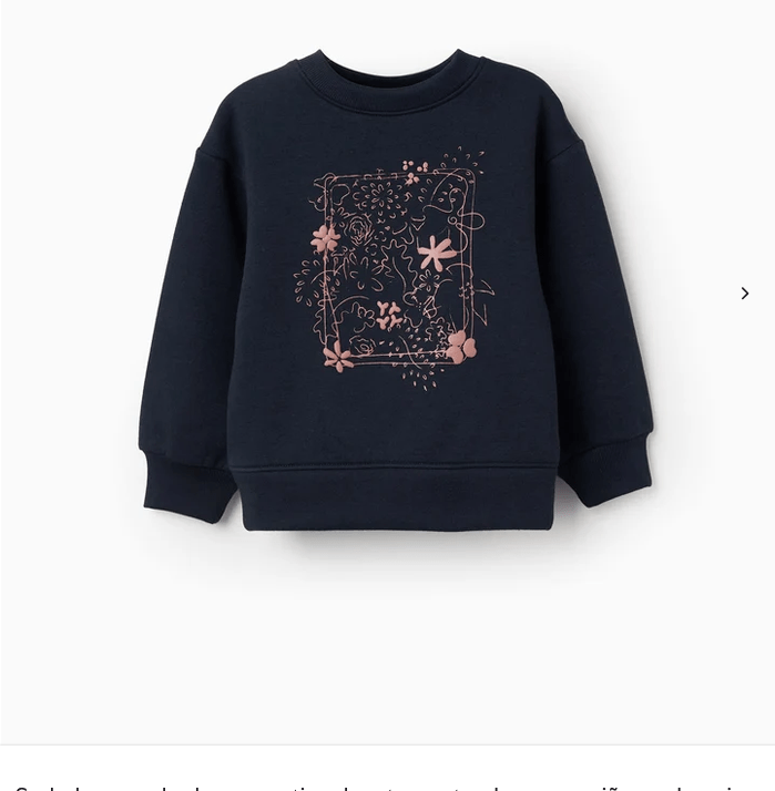 Sudadera Marino con dibujo Relieve Zippy