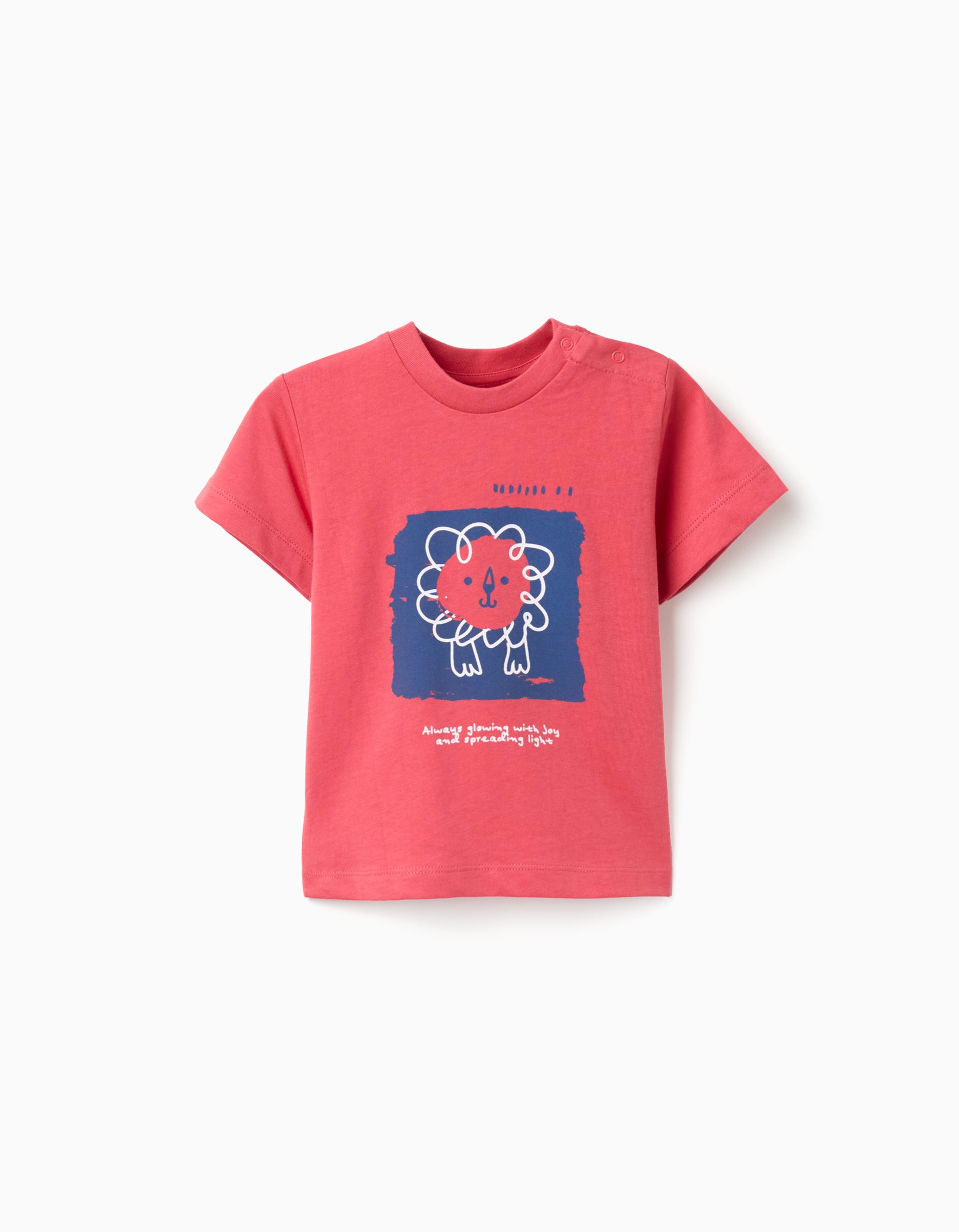 Camiseta Básica Niño Zippy