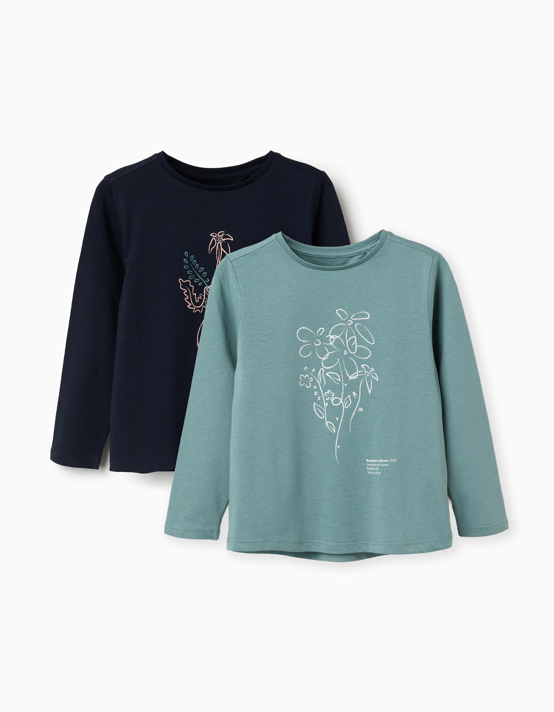 Pack 2 Camisetas Manga Larga Niña Zippy